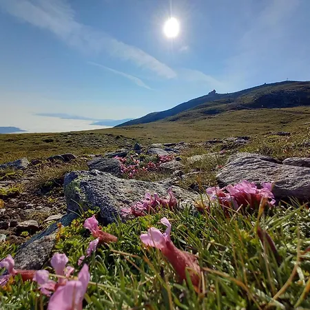 公寓 Zirbenzapfen In Den Seetaler Alpen