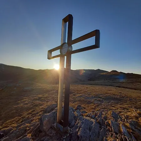 Zirbenzapfen In Den Seetaler Alpen * Judenburg