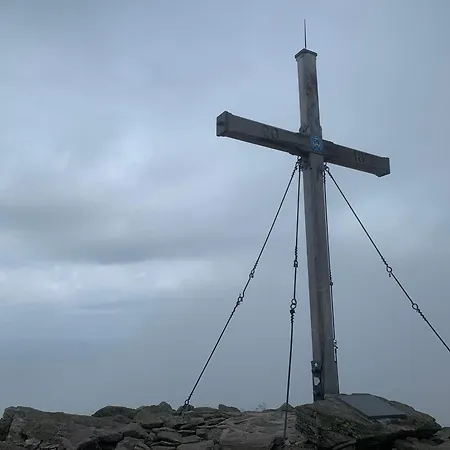 Zirbenzapfen In Den Seetaler Alpen
