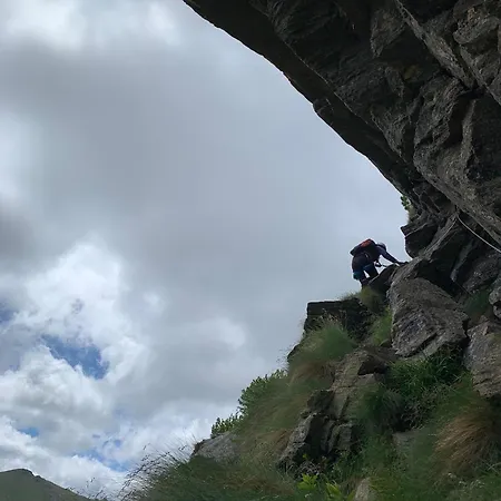 Zirbenzapfen In Den Seetaler Alpen *