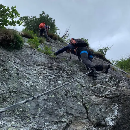 Zirbenzapfen In Den Seetaler Alpen 公寓