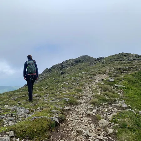 Zirbenzapfen In Den Seetaler Alpen 尤登堡