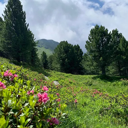 公寓 Zirbenzapfen In Den Seetaler Alpen *